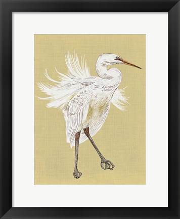 Framed Heron Plumage V Print