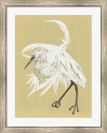 Framed Heron Plumage VI Print