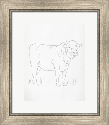 Framed Limousin Cattle I Print