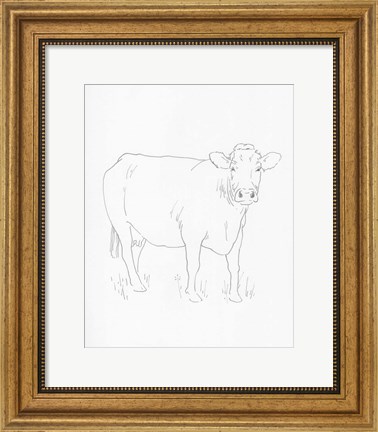 Framed Limousin Cattle III Print