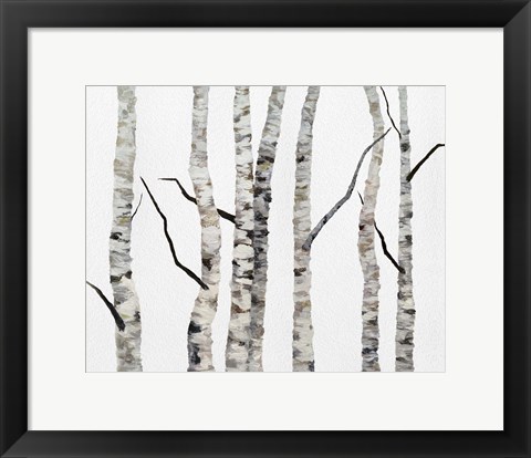 Framed Birch Trees II Print