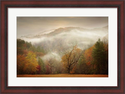 Framed Photography Study Autumn Mist Print