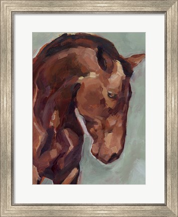 Framed Paint by Number Horse II Print