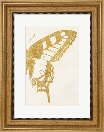 Framed Butterfly Wings II Print