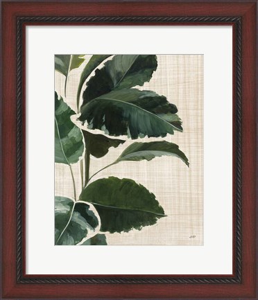 Framed Tropical Study I Linen Print