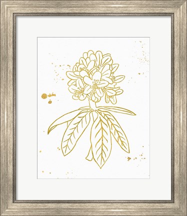 Framed Gold Blooms II Print