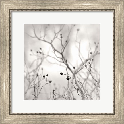 Framed Winter Berries Print