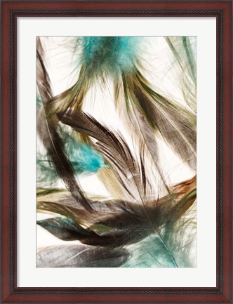 Framed Floating Feathers Print