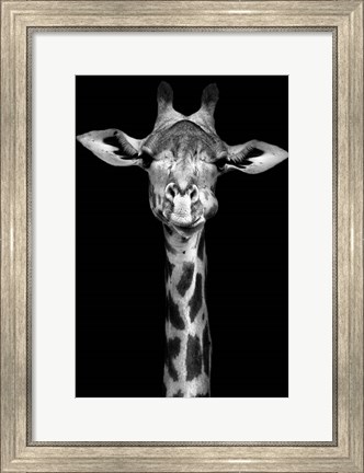 Framed Giraffe Print