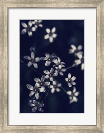 Framed Small Flowers Print