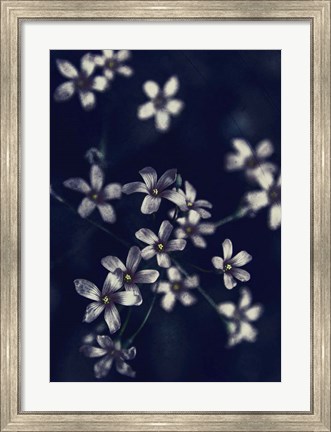 Framed Small Flowers Print