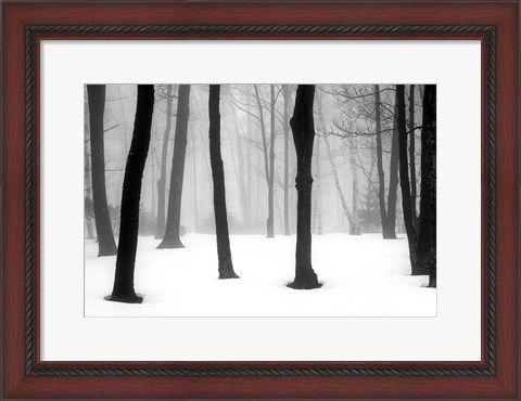 Framed Winter Fog Print