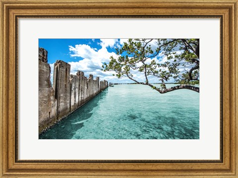 Framed Crystal Clear Paradise Print