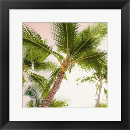 Framed Bright Oahu Palms II Print