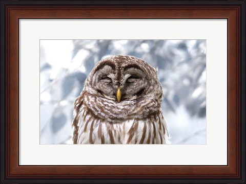 Framed Winter Feathers Print