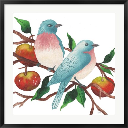 Framed Birds and Apples Print