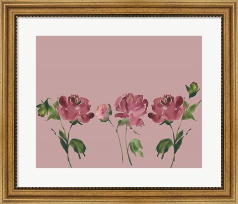 Framed Trio Of Peonies Print