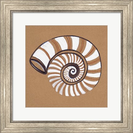 Framed Ocean World Shell Print