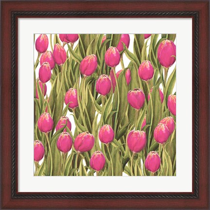 Framed Tulip Symphony II Print