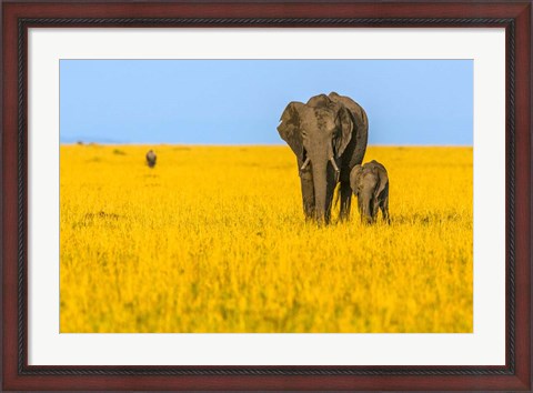 Framed Vibrant Africa Print