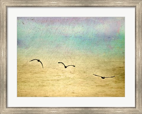 Framed Seagulls In The Sky II Print