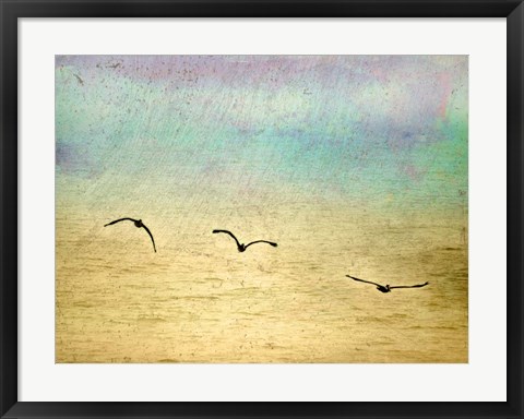 Framed Seagulls In The Sky II Print