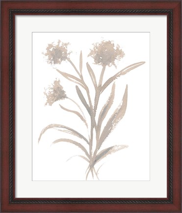 Framed Beige Herb II Print