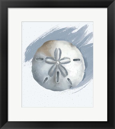 Framed Sand Dollar Print