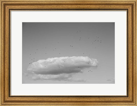 Framed Flock in Flight Print