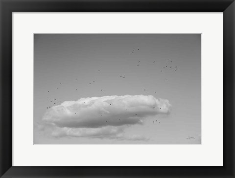 Framed Flock in Flight Print