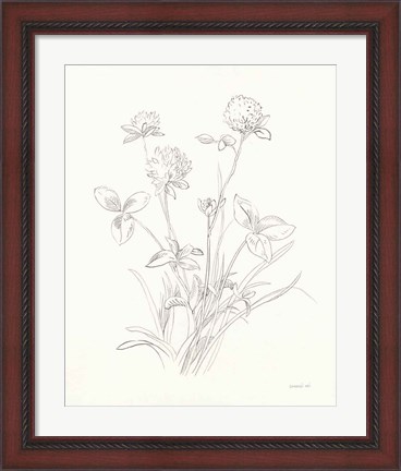 Framed Nature Sketchbook VIII Print