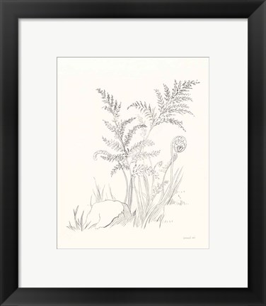 Framed Nature Sketchbook VI Print