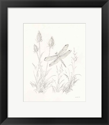 Framed Nature Sketchbook IV Print