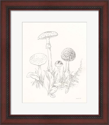 Framed Nature Sketchbook II Print