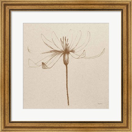 Framed Modern Vintage Floral III Print