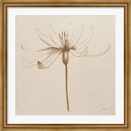 Framed Modern Vintage Floral III Print