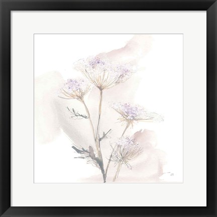 Framed Queen Annes Lace VI Print