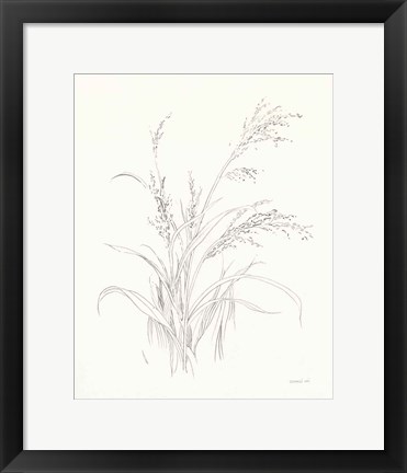 Framed Nature Sketchbook V Print