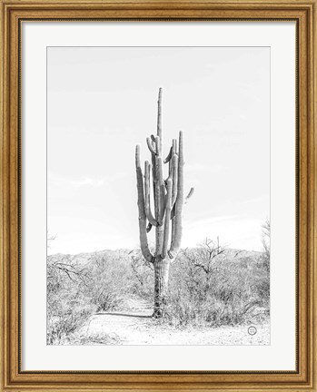 Framed Standing Alone Print