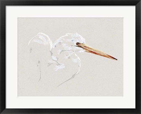 Framed Bright Egret Sketch I Print