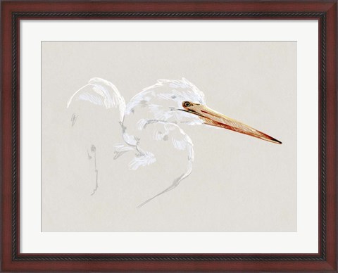 Framed Bright Egret Sketch I Print