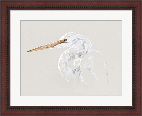 Framed Bright Egret Sketch II Print