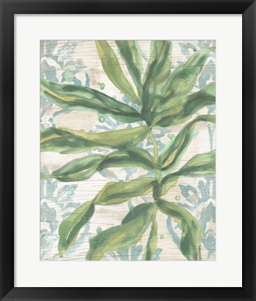 Framed Palms &amp; Patterns IV Print