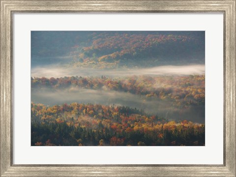 Framed Misty Morning Print