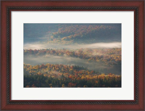 Framed Misty Morning Print