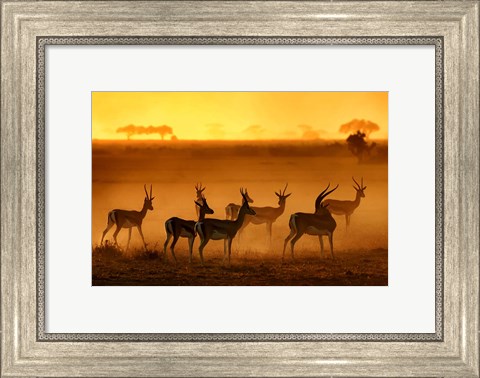 Framed Golden Light Print