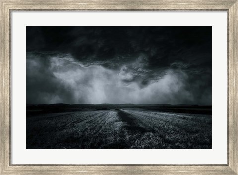 Framed Field Print