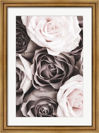 Framed Roses 2 Print