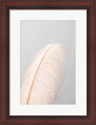 Framed Feather 1 Print