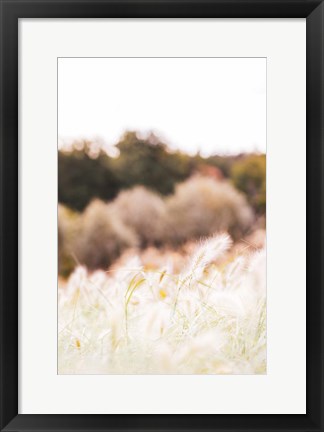 Framed Meadow Print